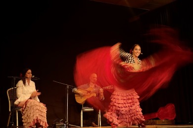 Flamenco por Allegria